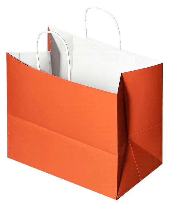 Twisted Handle Paper Bag